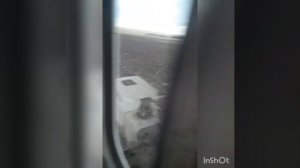 Пахота 2021 (6 и 7 ноября) Трактор Т 70, плуг ПСКу - 3.