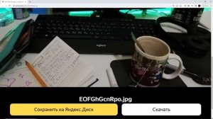 Dawg смотрит еду подписчиков во время славянского поста \dawgcast | 20.04.2023