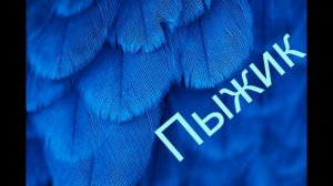 ИМЕНА КЛИЧКИ ДЛЯ ПОПУГАЕВ Как назвать попугая ВОЛНИСТЫЙ ПОПУГАЙ ВИДЕО Имена для попугайчиков