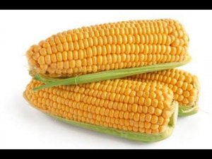 Как и сколько варить молодую кукурузу.