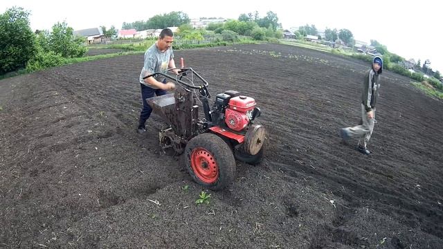 Самодельная картофелесажалка.Испытываем с мотоблоком "ОКА".