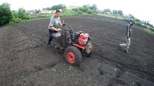 Самодельная картофелесажалка.Испытываем с мотоблоком "ОКА".