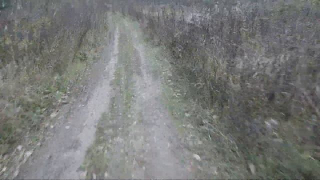 покатушка на bse z1 не пит не дура смотреть онлайн