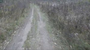 покатушка на bse z1 не пит не дура