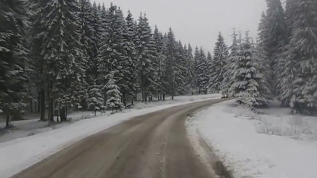 БУКОВЕЛЬ приглашаем на Новый год и Рождество смотреть онлайн