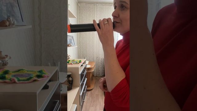 Песню просят,пою