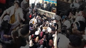 Фарахноз Шарафова дар Шахри Вахдат Туя обод кард