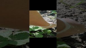 1000014403.mp4