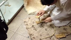 Так Первобытные люди добывают огонь