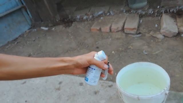 Хрип у кур.Кашель. Болезни Домашней птицы.Лечение. Профилактика.