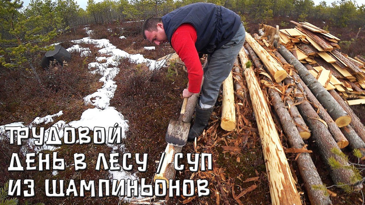 ЖИЗНЬ И БЫТ В ТАЙГЕ! ГОТОВИМ БАЛАНЫ ДЛЯ СТРОИТЕЛЬСТВА ИЗБЫ! ГОТОВИМ СУП ИЗ ЛОСЯТИНЫ! смотреть онлайн