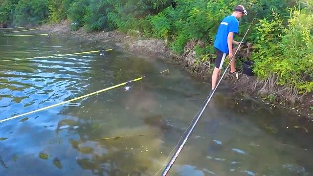 В ПОИСКАХ РЫБЫ !!! ДОН 2022 !!! смотреть онлайн