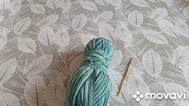 СП "Носочная дюжина". Старт✓11. Носки крючком