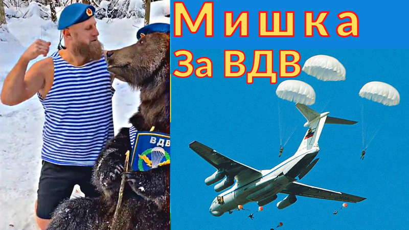 МИШКА ЗА ВДВ! ✈ НИКТО КРОМЕ НАС ✈ ЗА СЛАВЯНСКИЙ МИР!