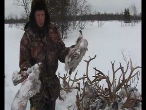 Браконьерские головы. Деяния браконьеров.