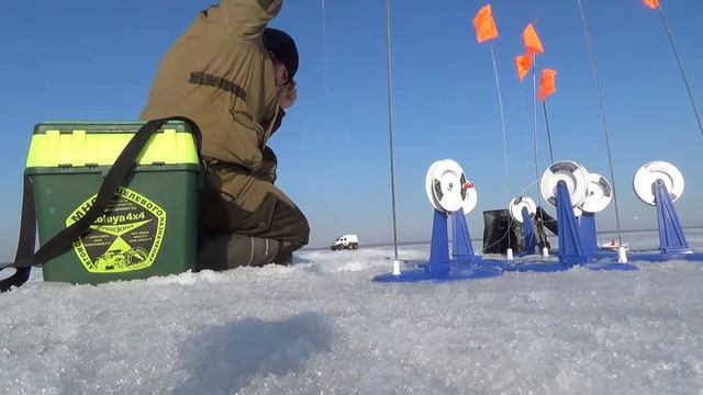 яуза, рыбалка жерлицы, налим судак