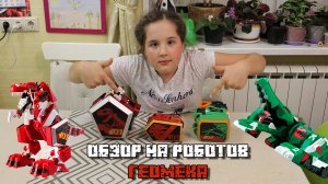 Обзор на роботов Геомека