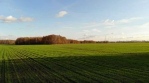 Есенинская Русь Рязанской области, Рыбновский район осенью