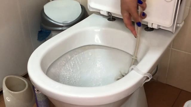 Слейте СТИРАЛЬНЫЙ ПОРОШОК в унитаз и ПОСМОТРИТЕ, ЧТО ПРОИСХОДИТ смотреть онлайн