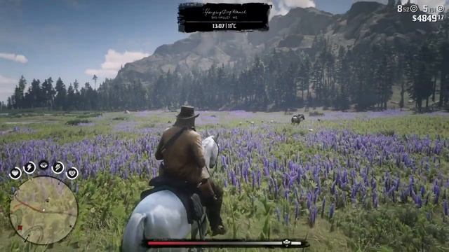 RDR2 | Perfect sheep hide location