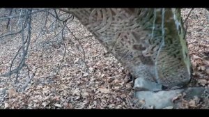 Дагестан с. Кирцик Кайтагский район