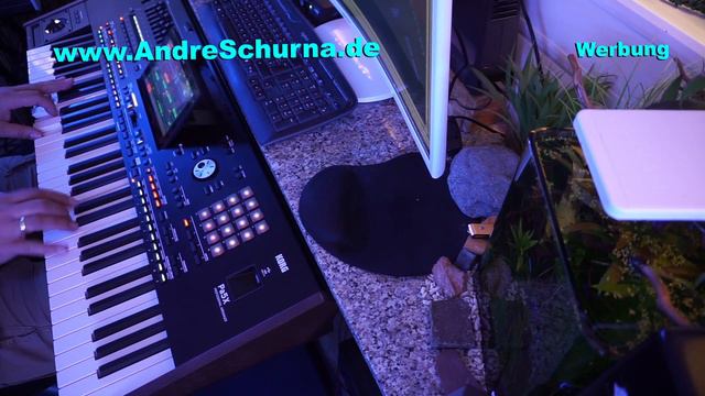 Korg Pa5X Demo 06 Earth Song from Michael Jackson played by Soundstudio www.AndreSchurna.de смотреть онлайн