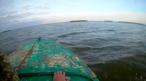 осень 2017 утиная охота Астрахань