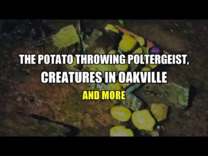 “The Potato Throwing Poltergeist, Creatures In Oakville and More” | Paranormal Stories