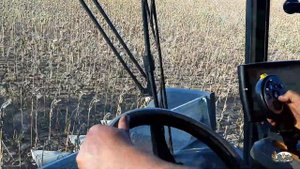Уборка подсолнечника 2020! возле города Бельцы!Комбайн Case IH 5140 и жатка Dominoni