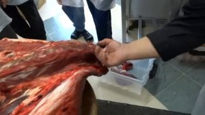 Открыть мясной магазин, советы: Как проверить качество мяса "Мясо тут"