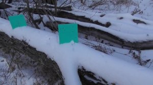 САЙГА 12К. Тест на кучность/дальность с удлинителем ствола и без него.