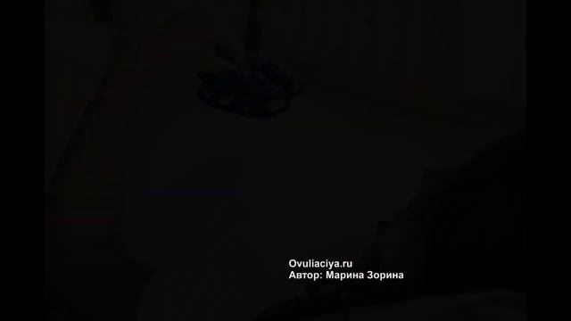 🤰🏻 👶Можно ли забеременеть после 💥овуляции? смотреть онлайн видео от ...