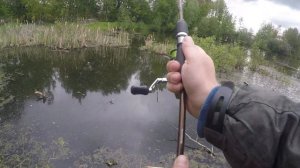 Ловля щуки на малой реке