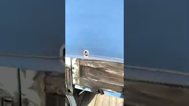 Газель 2016 года продам смотреть онлайн