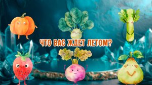 Что вас ждет летом? Выберите ДВЕ картинки