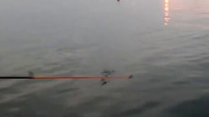 Рыбалка в Сочи с волнореза на самодур