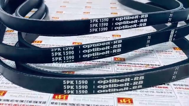 Dây curoa tổng Kia Carnival 2 9 1998 2005, 5PK1590 смотреть онлайн