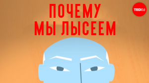 Из-за чего мы лысеем?