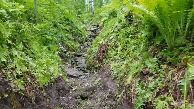 6 Км Байк парк Вторая половина ручья верха 260621 смотреть онлайн