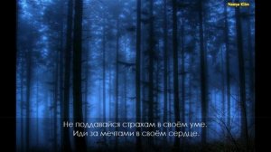 Звуки Ночного Леса. Релакс для спокойного сна. (часть 2)