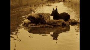 Как смотреть фильмы Тарковского правильно