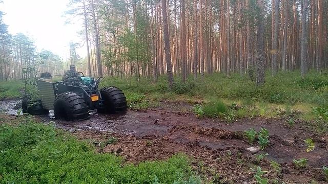 Старый зимник(1) смотреть онлайн