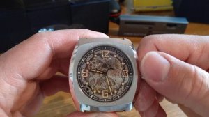 SEAGULL 849.27.6094 SKELETONIZED 50 METER LUMED ARABICS NUMBERS SPORT AUTOMATIC WATCH UNBOXING