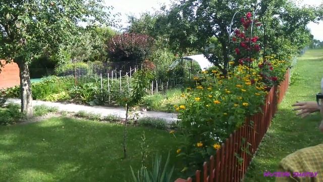 Польша. Вот как выглядят дачи смотреть онлайн