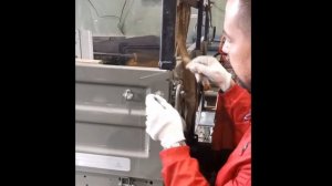 Канат грузовой на КМУ. ИМПОРТНЫЙ VS ОТЕЧЕСТВЕННЫЙ В чем же отличие?