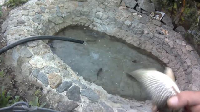 мой маленький пруд смотреть онлайн