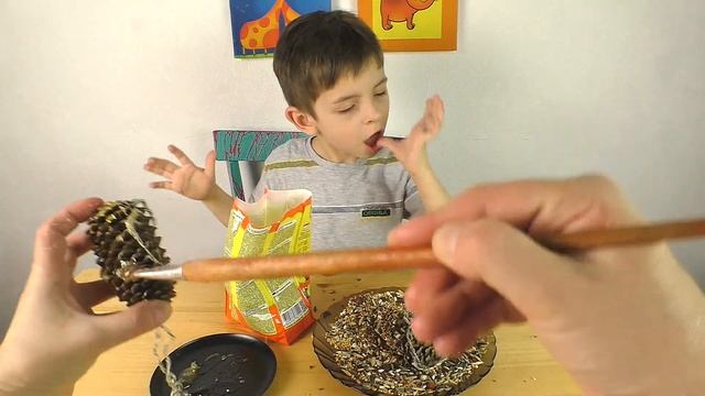 Как сделать лакомство для птиц Делаем сами смотреть онлайн