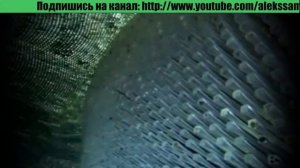 Судный день.mp4