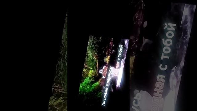 Пою Безруков Ростаргуев - Отчего так в России берёзы шумят (кавер)