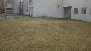 Самый лучший футболист в мире !!